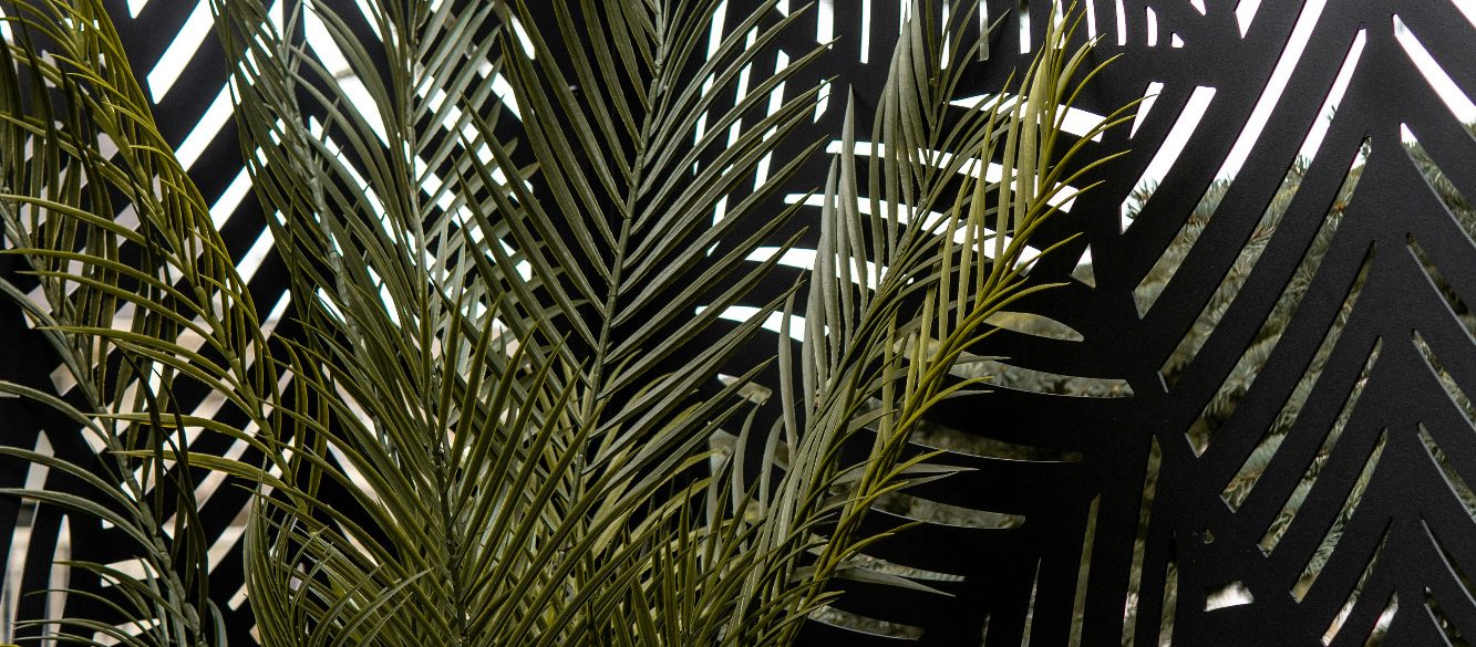 Grüne Palmenblätter vor einem dunklen Hintergrund mit hellen Streifen.